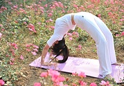 冬季養(yǎng)生比較適合做哪些運(yùn)動來鍛煉身體