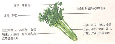 芹菜的功效作用之鎮(zhèn)靜安神,降血壓