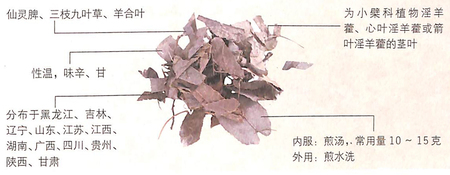淫羊藿的功效作用能助陽補(bǔ)腎,抗衰老