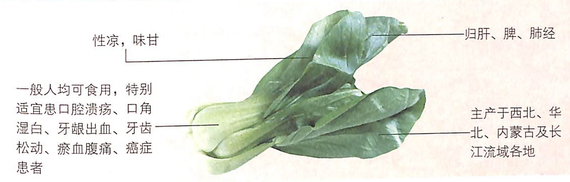 油菜的功效怎么樣?潤(rùn)胃通氣