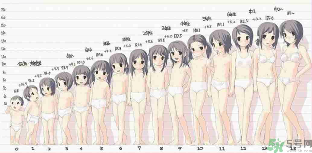 女生的發(fā)育過(guò)程是什么樣的?