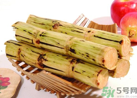 甘蔗孕婦可以吃嗎?吃多了有什么壞處