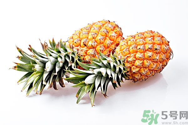 芒果和菠蘿能一起吃嗎？芒果和菠蘿一起吃好嗎？