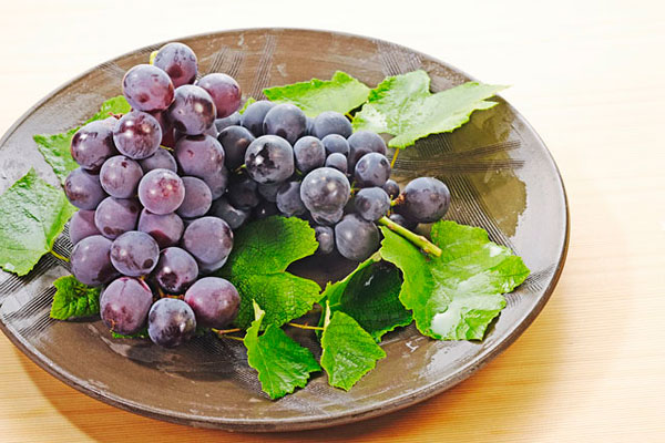 膽結(jié)石能吃葡萄嗎？膽結(jié)石患者吃葡萄好不好？