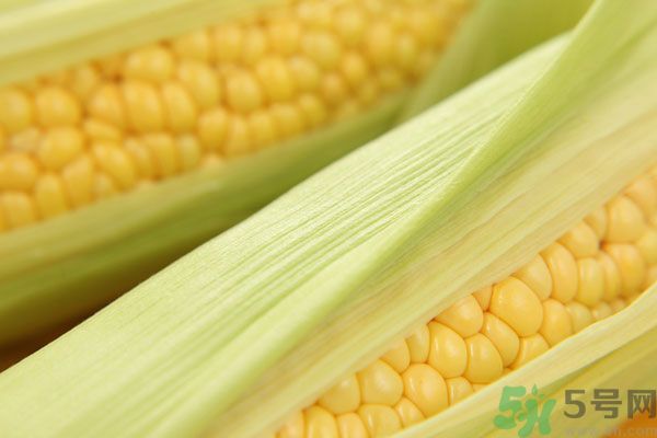 哺乳期能吃玉米回奶嗎？產(chǎn)婦吃玉米會回奶嗎？