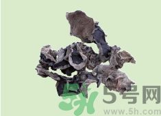 高血壓可以吃黑木耳嗎？木耳降血壓的做法有哪些？