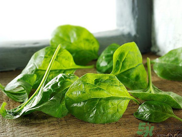 缺鐵有什么癥狀和危害？含鐵高的食物有哪些？