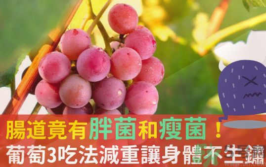 吃葡萄可以不吐葡萄籽嗎？吃葡萄皮好不好？