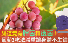 吃葡萄可以不吐葡萄籽嗎？吃葡萄皮好不好？