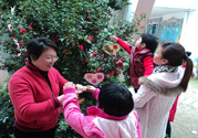 植樹節(jié)是幾月幾日？植樹節(jié)可以做些什么活動？