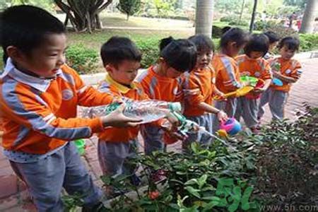 如何提高植樹的成活率？植樹節(jié)種樹要注意哪些細(xì)節(jié)？