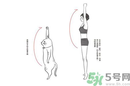 電腦族肩膀痛疼怎么辦？肩膀痛疼怎么解決？