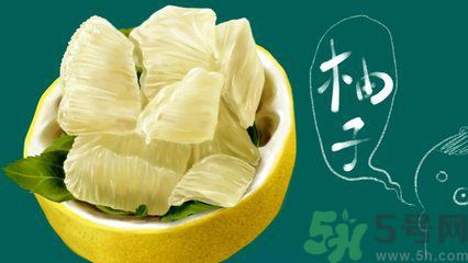 多吃柚子能減肥嗎？怎樣吃柚子才健康？
