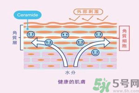 皮膚炎癢是怎么回事？皮膚炎發(fā)作怎么治療？