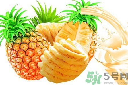 菠蘿和鳳梨有什么區(qū)別？菠蘿和鳳梨誰更好吃？
