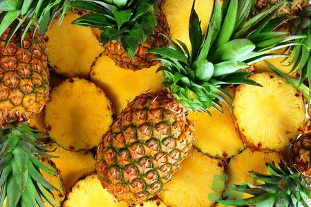 菠蘿和鳳梨有什么區(qū)別？菠蘿和鳳梨誰更好吃？