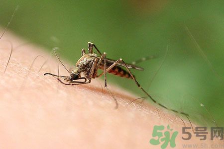 黃熱病可以吃水果嗎？怎么預(yù)防黃熱病癥狀？