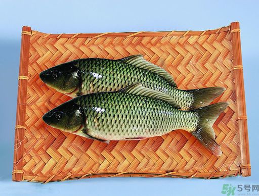 孕婦吃什么魚對(duì)胎兒好？孕婦吃什么魚最好？