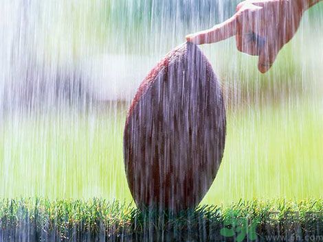 濕氣重的癥狀？怎么去除體內(nèi)的濕氣？