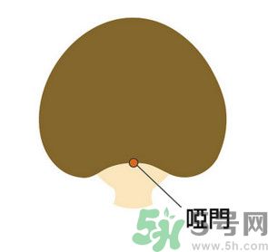 臉總是腫腫的怎么辦？臉有點(diǎn)浮腫怎么消腫？