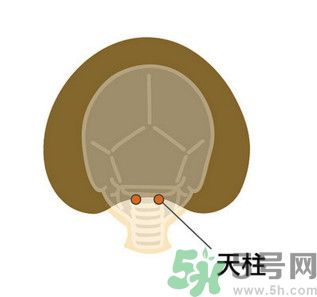 臉總是腫腫的怎么辦？臉有點(diǎn)浮腫怎么消腫？