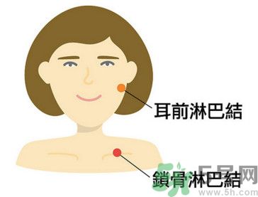 臉總是腫腫的怎么辦？臉有點(diǎn)浮腫怎么消腫？