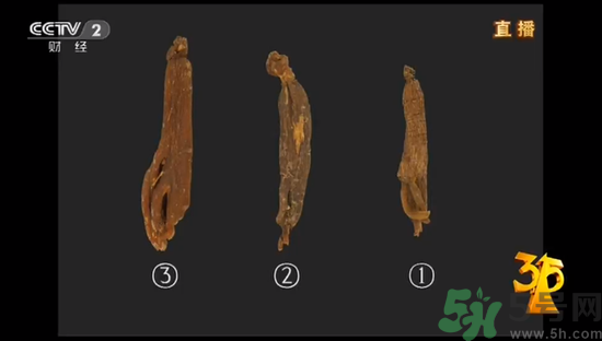 紅參怎么挑選？紅參摻糖怎么辯解？