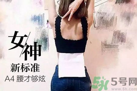 B5腰圍比A4腰圍更好？B5腰是什么意思？