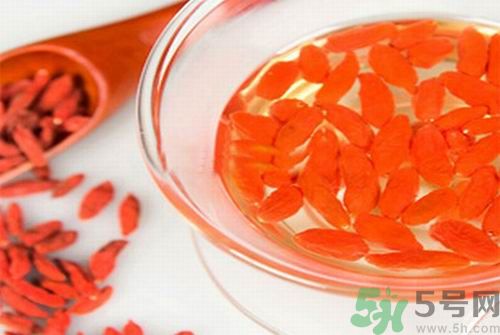 枸杞泡水有什么害處？枸杞泡水喝有什么好處？
