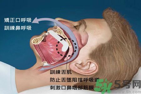 耳鳴是什么原因引起的？耳鳴怎么治療最好？