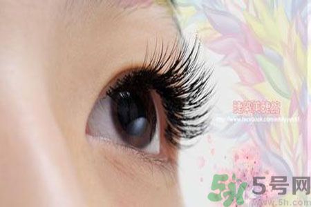 種睫毛的危害有哪些？種睫毛能保持多久？