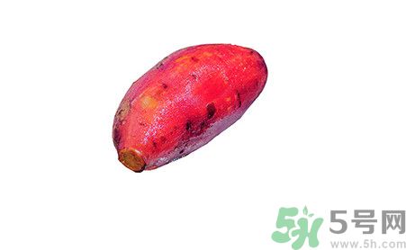紅薯蒸著吃還是煮著吃？紅薯蒸著吃有營(yíng)養(yǎng)嗎？