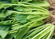 吃菠菜能補(bǔ)鐵嗎？吃蔬菜鐵效果好嗎？