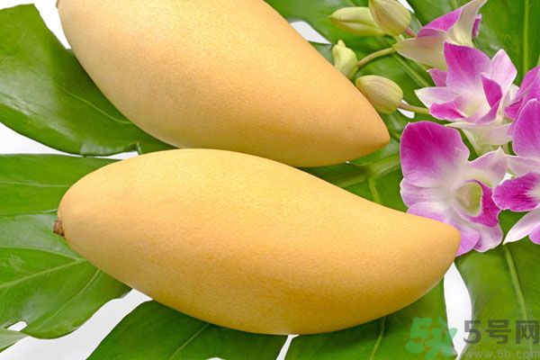 吃芒果嘴唇過敏怎么辦？為什么吃了芒果后嘴巴癢？