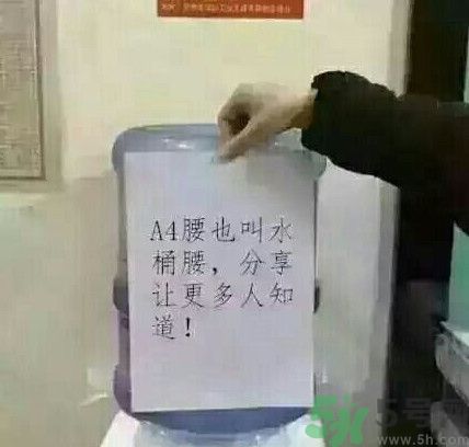 a4腰也叫水桶腰是什么意思？a4腰也叫水桶腰圖片？ 
