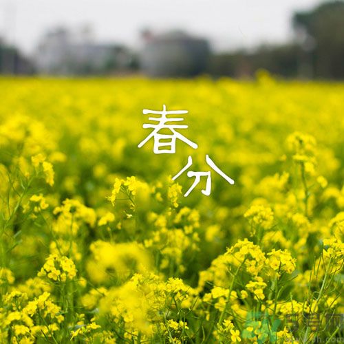 春分時養(yǎng)生要注意什么？春分要預(yù)防哪些疾病？