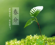 春分時養(yǎng)生要注意什么？春分要預(yù)防哪些疾病？