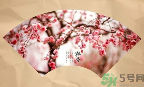 春分時養(yǎng)生要注意什么？春分要預(yù)防哪些疾??？