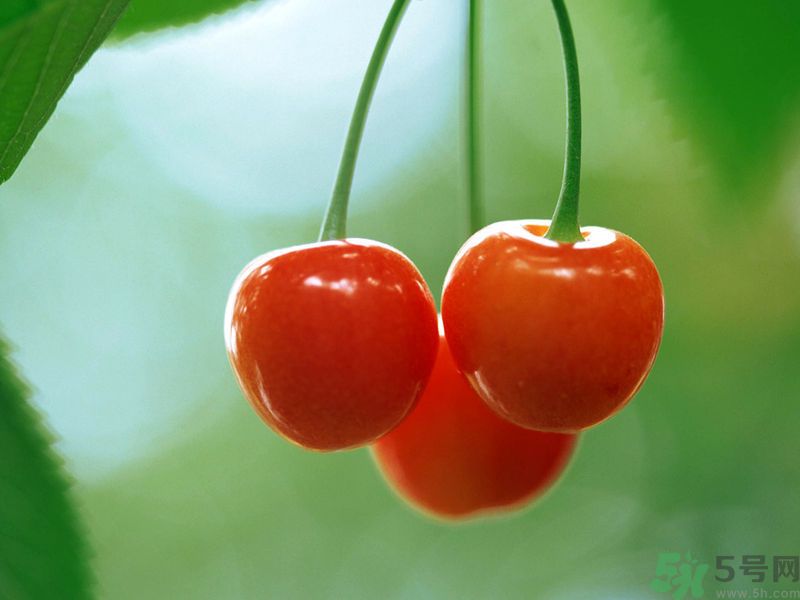 春分時節(jié)養(yǎng)生吃什么水果好？那些水果可以春天吃？