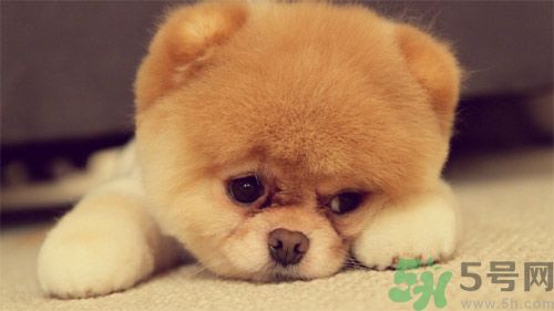睡覺能戴手表嗎？睡覺不能帶的東西有哪些？