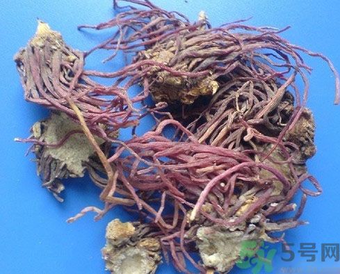 紫菀的功效和作用是什么？紫菀的用法用量是多少？