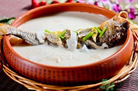 煲魚湯怎么去腥？家常魚湯做法有哪些？