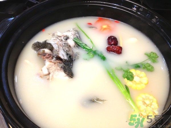 煲魚湯怎么去腥？家常魚湯做法有哪些？