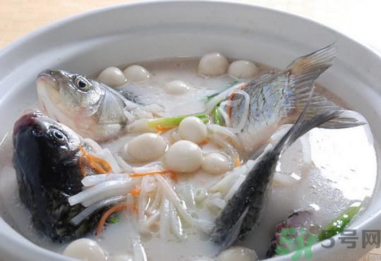 煲魚湯怎么去腥？家常魚湯做法有哪些？
