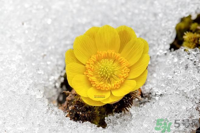 清明節(jié)有哪些習(xí)俗？清明節(jié)習(xí)俗的來源？