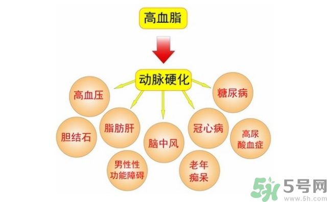 吃什么可以降血脂？高血脂吃什么好？