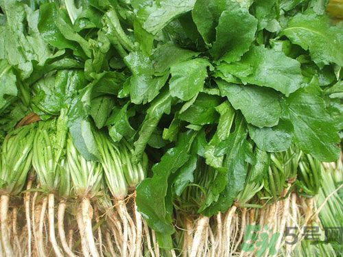 薺菜是發(fā)物嗎？薺菜是不是發(fā)物？