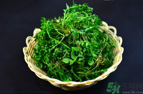 薺菜根能吃嗎？薺菜要去根吃嗎？
