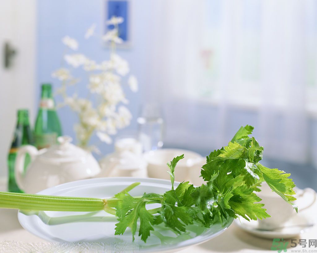 芹菜可以減肥嗎？芹菜有什么功效？