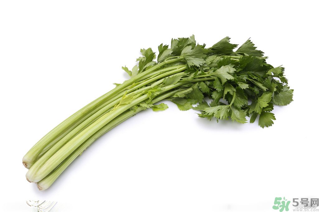 芹菜可以減肥嗎？芹菜有什么功效？